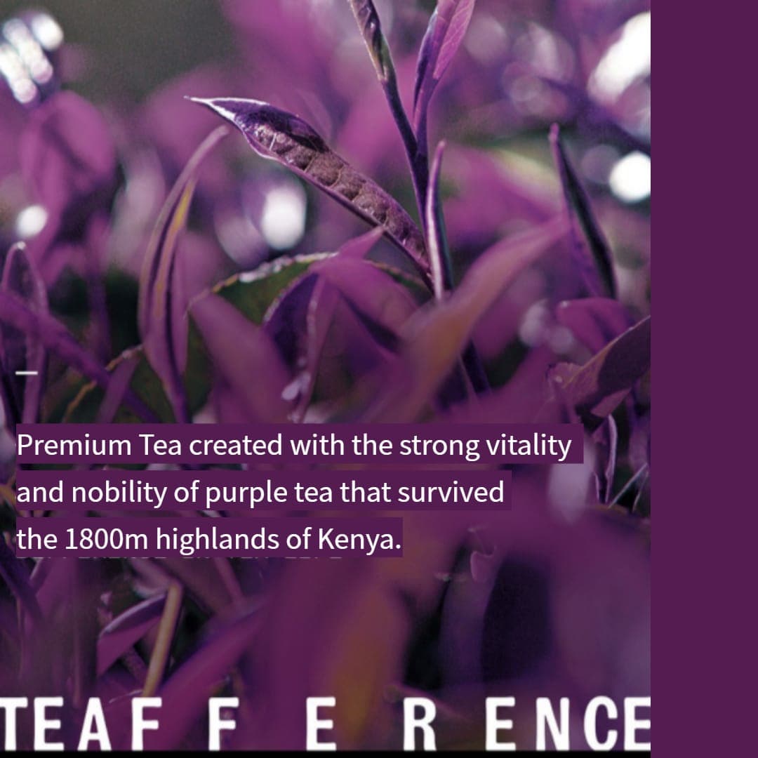 TEAFFERENCE Signature Purple Tea 3g x 12EA in PENTHOUSE 2