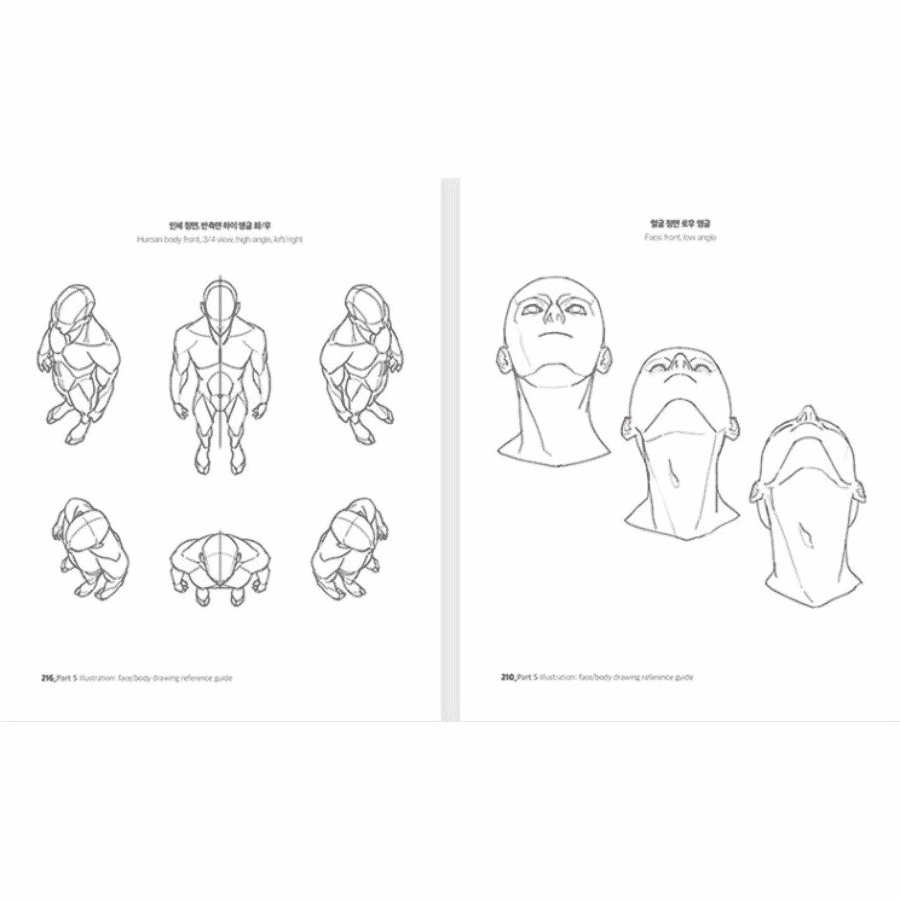 Point Character Drawing