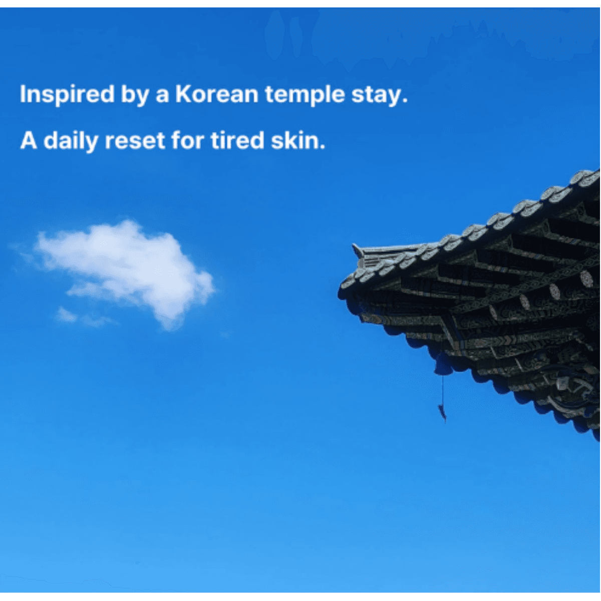 BACK AT ONE Zen Serum 4