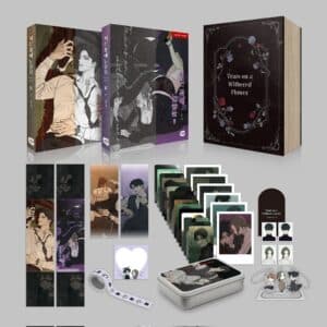 K-pop Merchandise