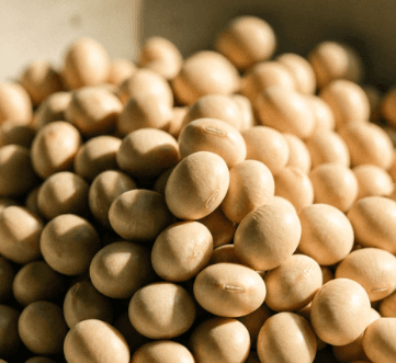 Soy Milk Powder – Korean White Soybean Powder, 99.3% Soybeans, Unsweetened &amp; Additive-Free, 500g 4